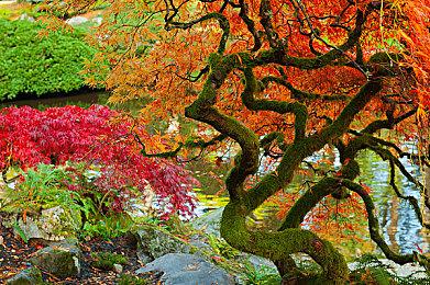 工作游戏两不误 番茄工作法放置游戏《死线勇者》Steam页面开放